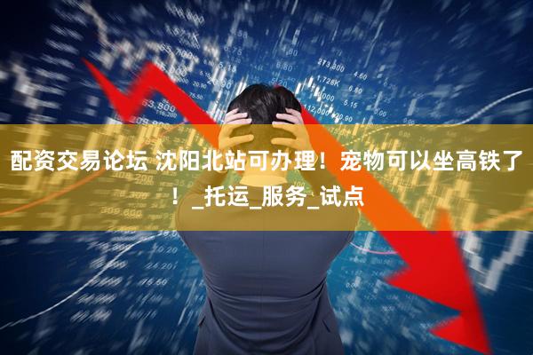 配资交易论坛 沈阳北站可办理！宠物可以坐高铁了！_托运_服务_试点