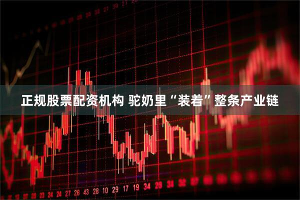 正规股票配资机构 驼奶里“装着”整条产业链